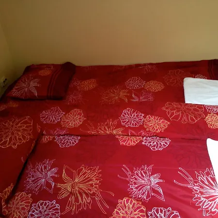 Hostel Big Bed *